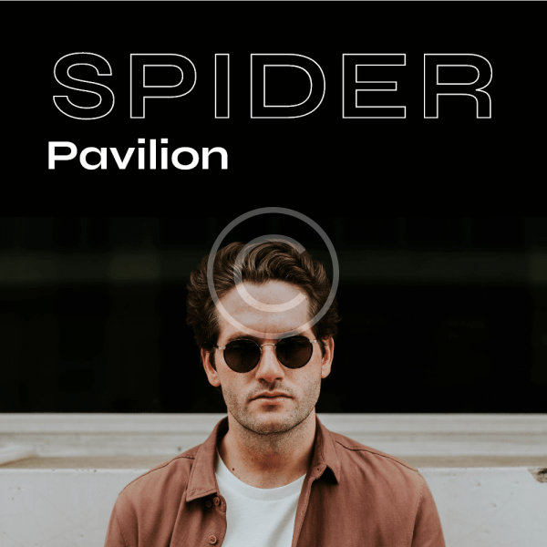 spider by pavilon poster