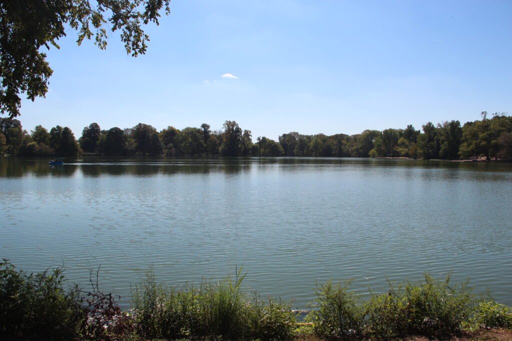Lake and trees in Brooklyn’s Prospect Park